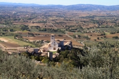 Assisi 7