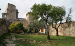 Assisi 8