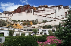 Tibet 16